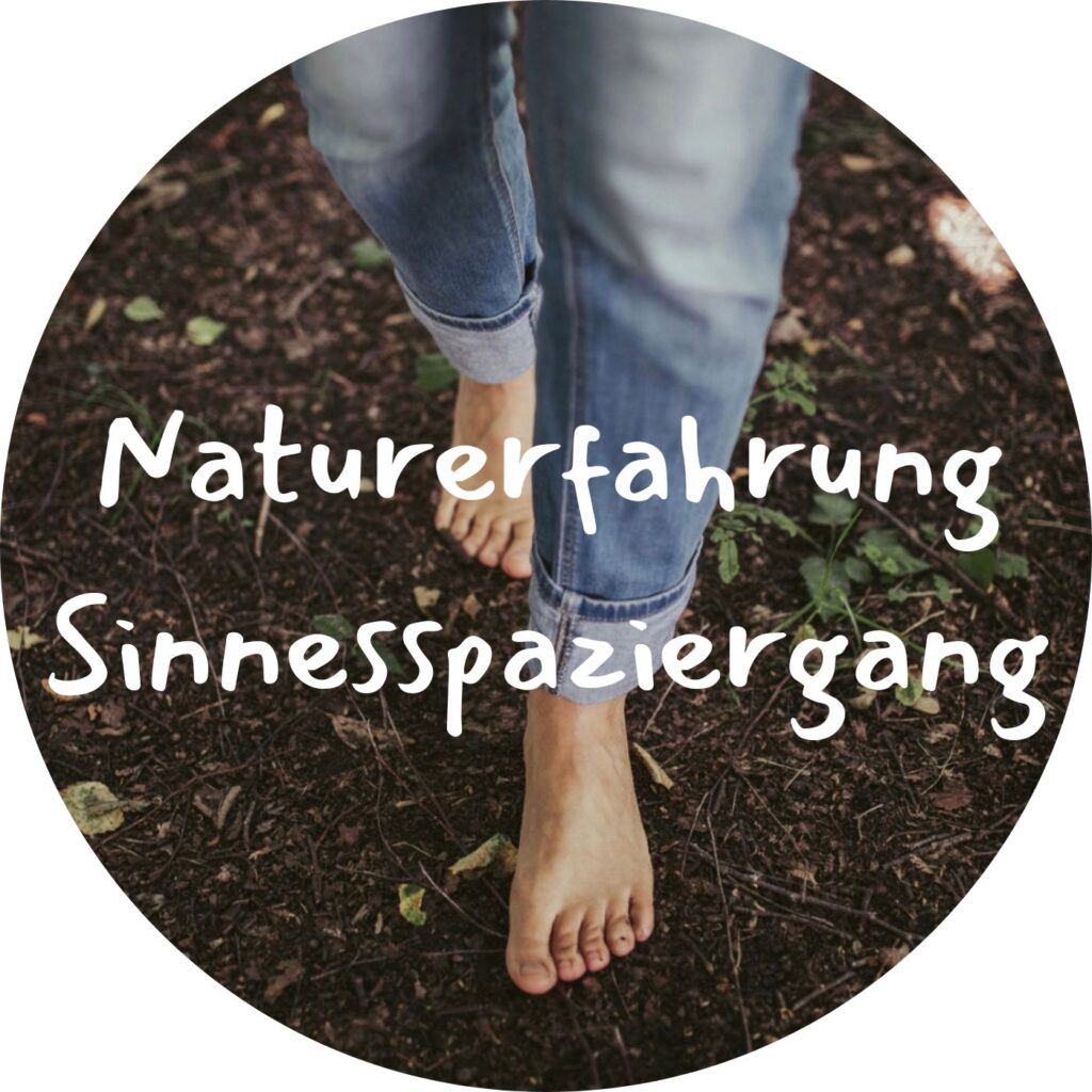 Naturerfahrung Sinnesspaziergang